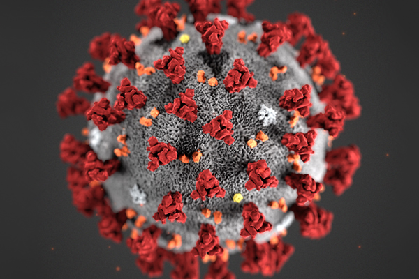 koronavirus
